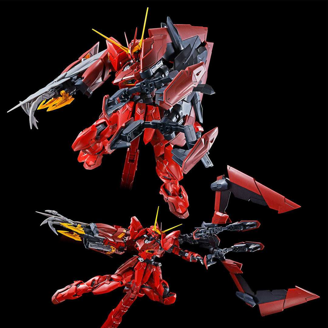 GUNDAM - P-Bandai MG 1/100 Testament Gundam