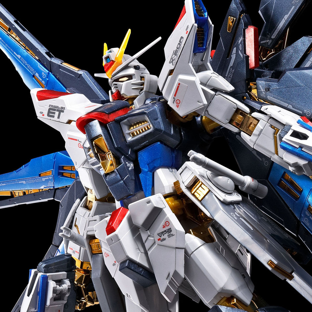 GUNDAM - P-Bandai - RG 1/144 Strike Freedom Gundam [TITANIUM FINISH]