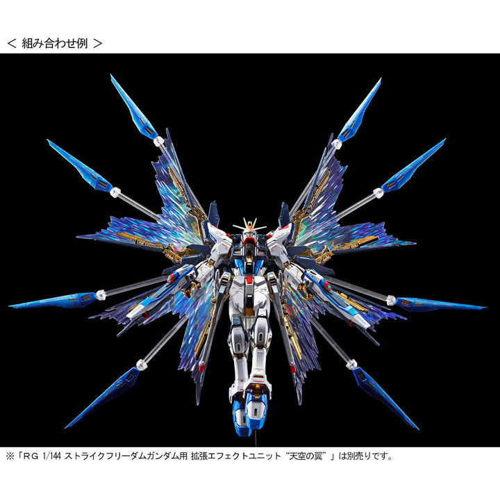 GUNDAM - P-Bandai - RG 1/144 Strike Freedom Gundam [TITANIUM FINISH]