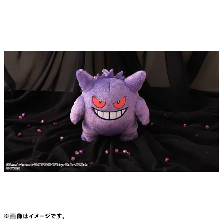 Pokemon: You've Decided! Pokemon Get Plush Gengar